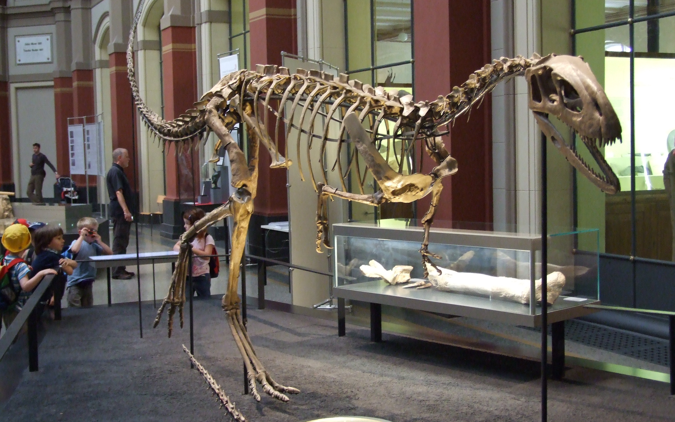 У Австралії жили унікальні динозаври - цікаві фото