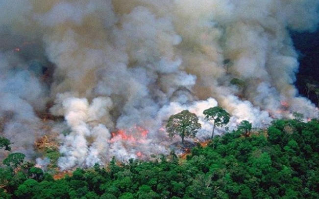 Вплив людини на Землю: горять навіть тропічні ліси Амазонії