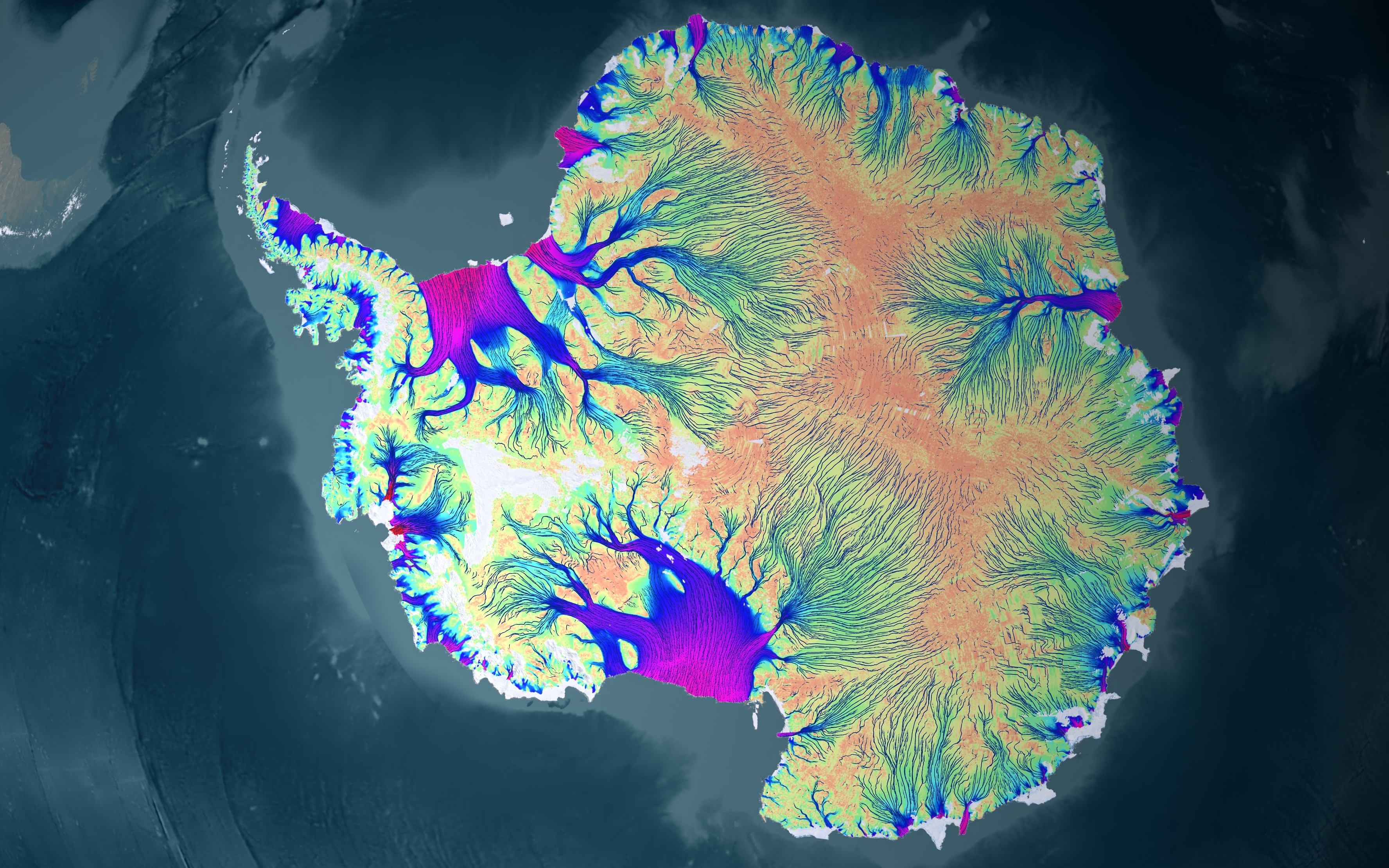 Антарктида зеленіє: фото з супутника  