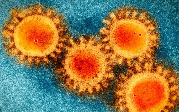 В Нікополі побільшало коронавірусу... аж на 7 інфікованих