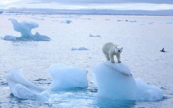Земля у небезпеці! Арктика не замерзає
