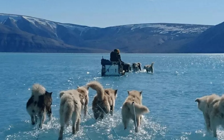 Майбутнє під загрозою: від Гренландії відкололася крижина розміром з мегаполіс