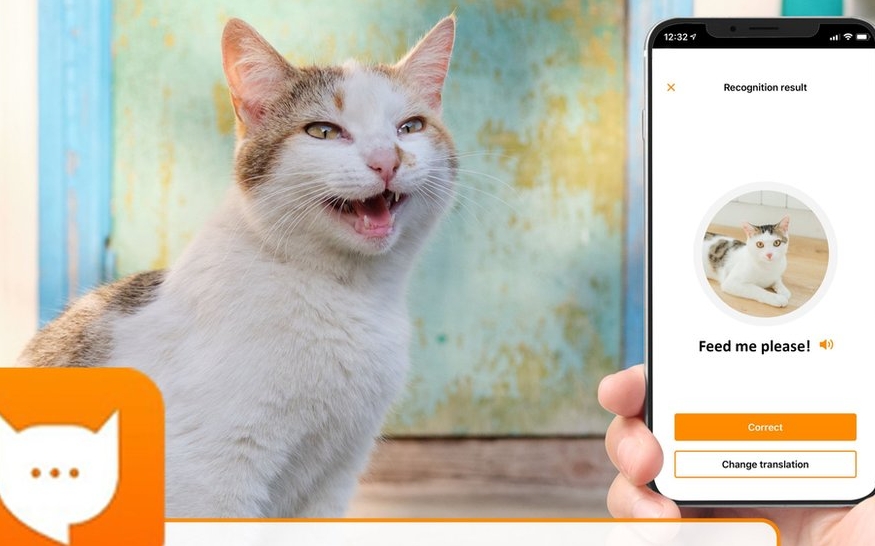 MeoWTalk - додаток що перекладає мову котів