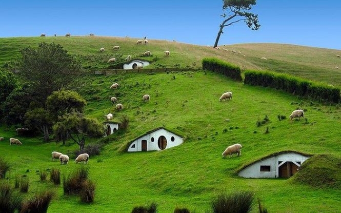 Нова Зеландія оголосила екоколапс