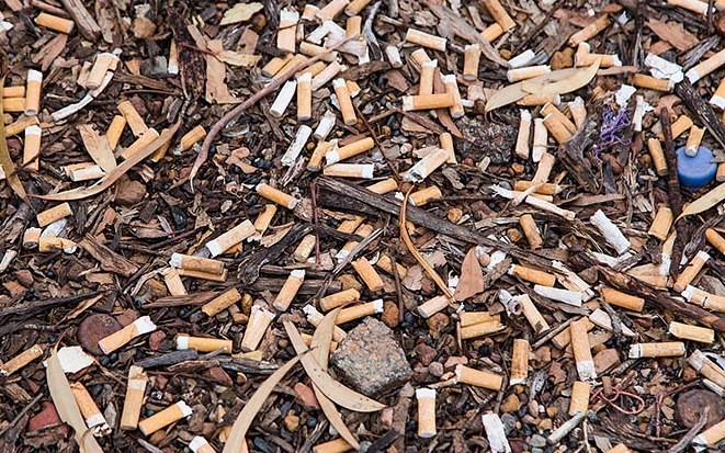 Як тютюнові недопалки загрожують навколишньому середовищу?
