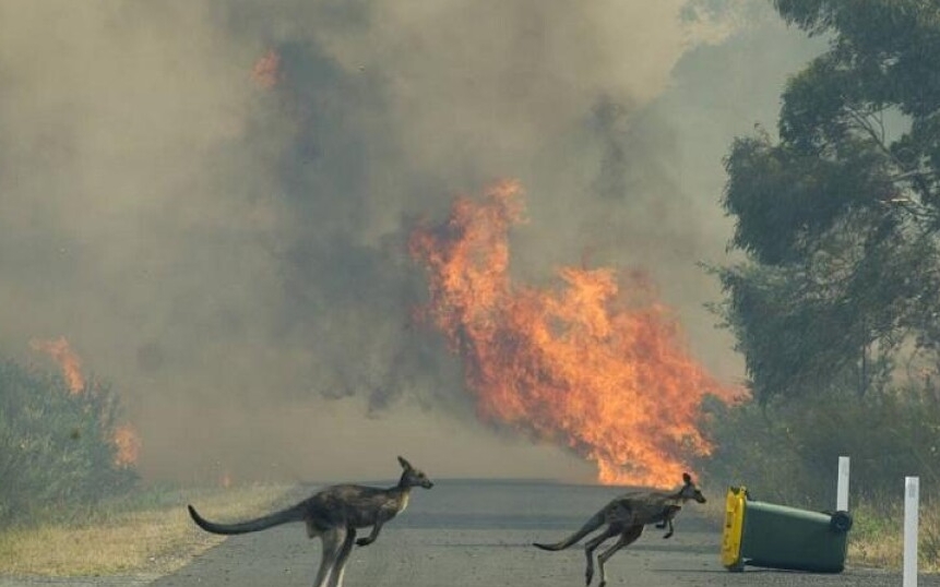 Збитки від кліматичних пожеж в Австралії