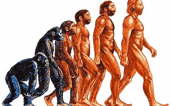 Багато питань до теорії еволюції: люди прилетіли з інших планет?