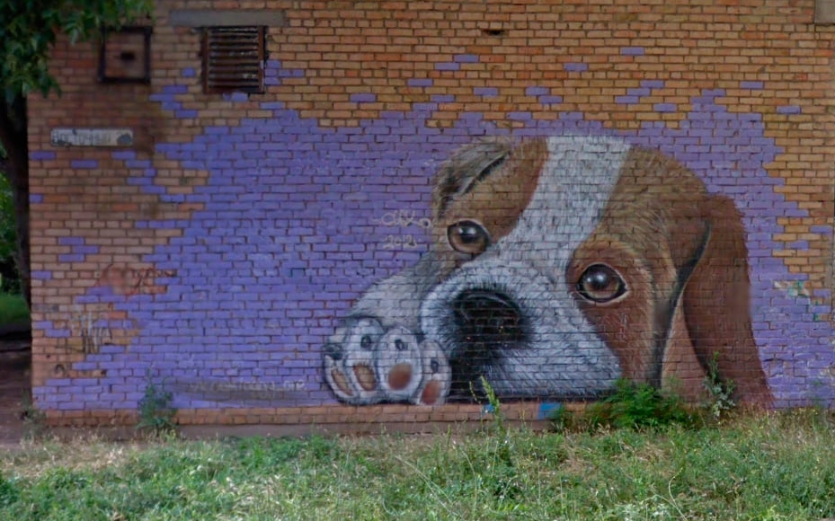 У Марганці з'явиться миле графіті собаки