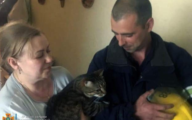 Бідолашний застряг на висоті: у Нікополі врятували кота