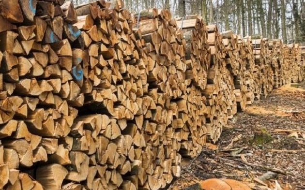 У Червоногригорівці затвердили порядок забезпечення паливною деревиною