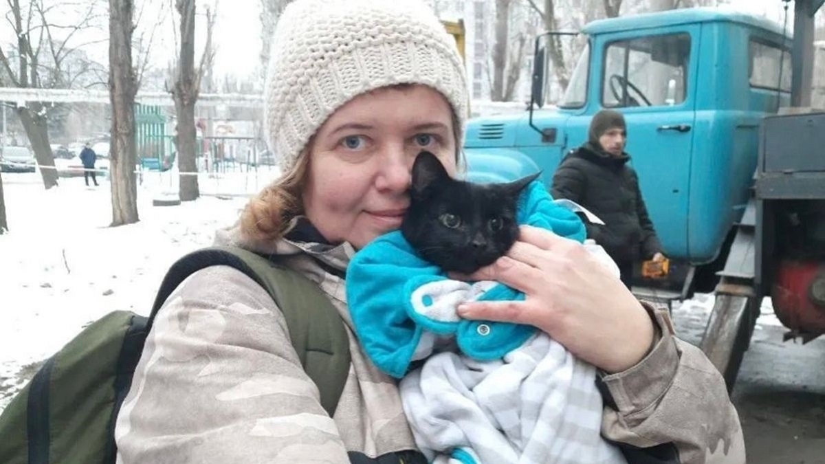 У Дніпрі врятували кішку, що вижила під час ракетного удару