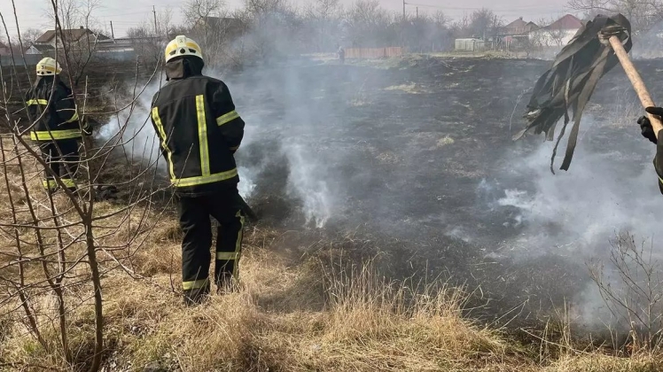 У Дніпровській області спалюють сухостій