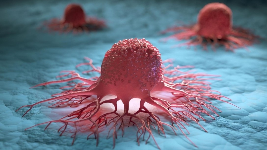 Дієта, що знищує ракові клітини: як правильно харчуватись?