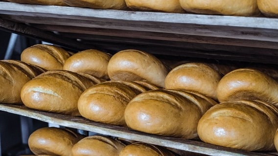Хліб від ООН для Червоногригорівської ТГ