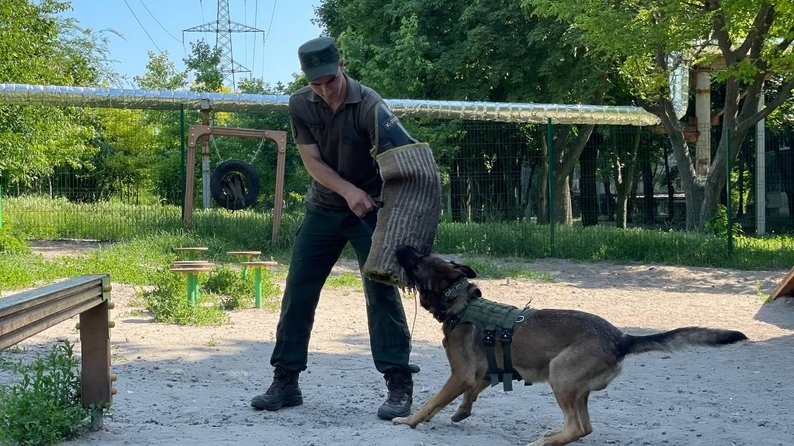 На Дніпровщині готують службових собак
