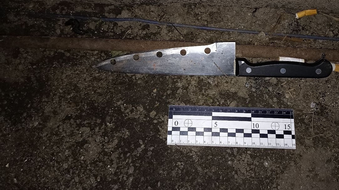 У Нікопольському районі жінка вдарила чоловіка ножем