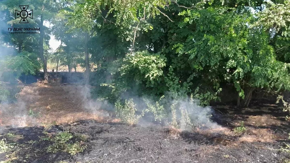 Вогнеборці ліквідували загорання сухостою у Криворізькому районі