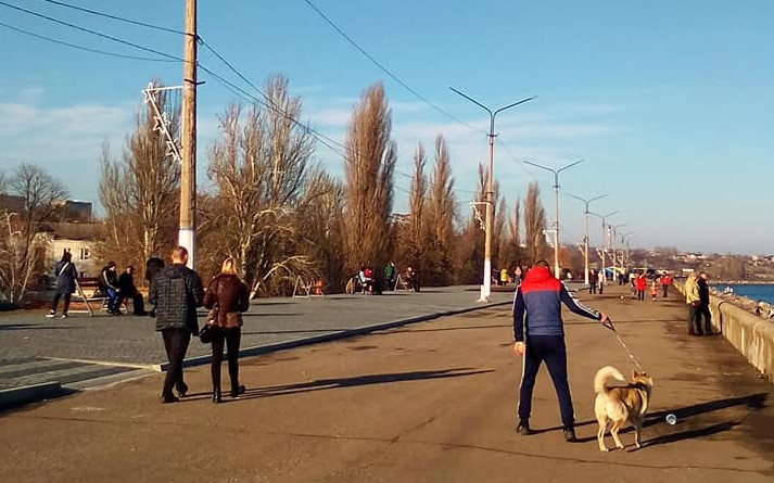 На конкурс Бюджет участі-2020 надали 71 проект - що до чого