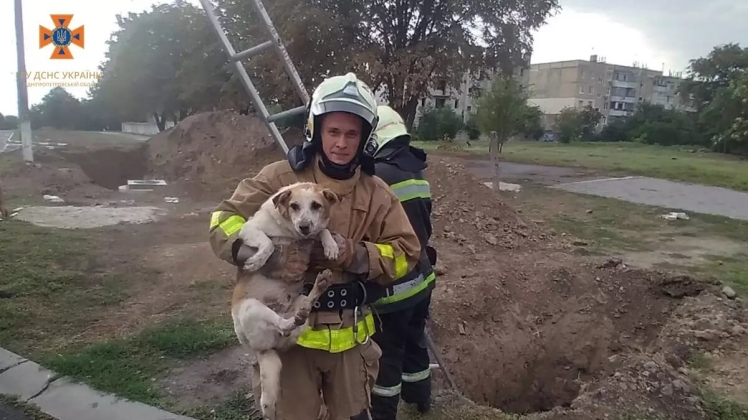 Дніпровські надзвичайники врятували двох собак