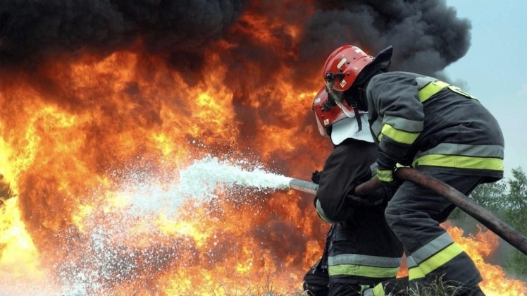 Пожежі на Дніпровщині: жінка отримала опіки: врятовано чоловіка