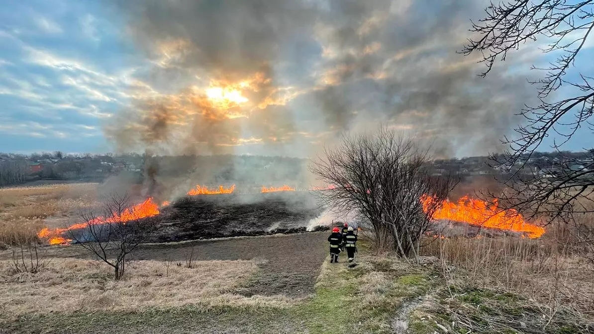 58 пожеж в екосистемах на Дніпровщині: до відповідальності притягнули 29 паліїв трави