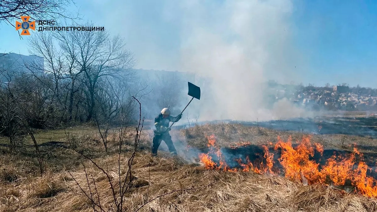 7 порушників за день: на Дніпровщині посилено боротьбу з пожежами в екосистемах