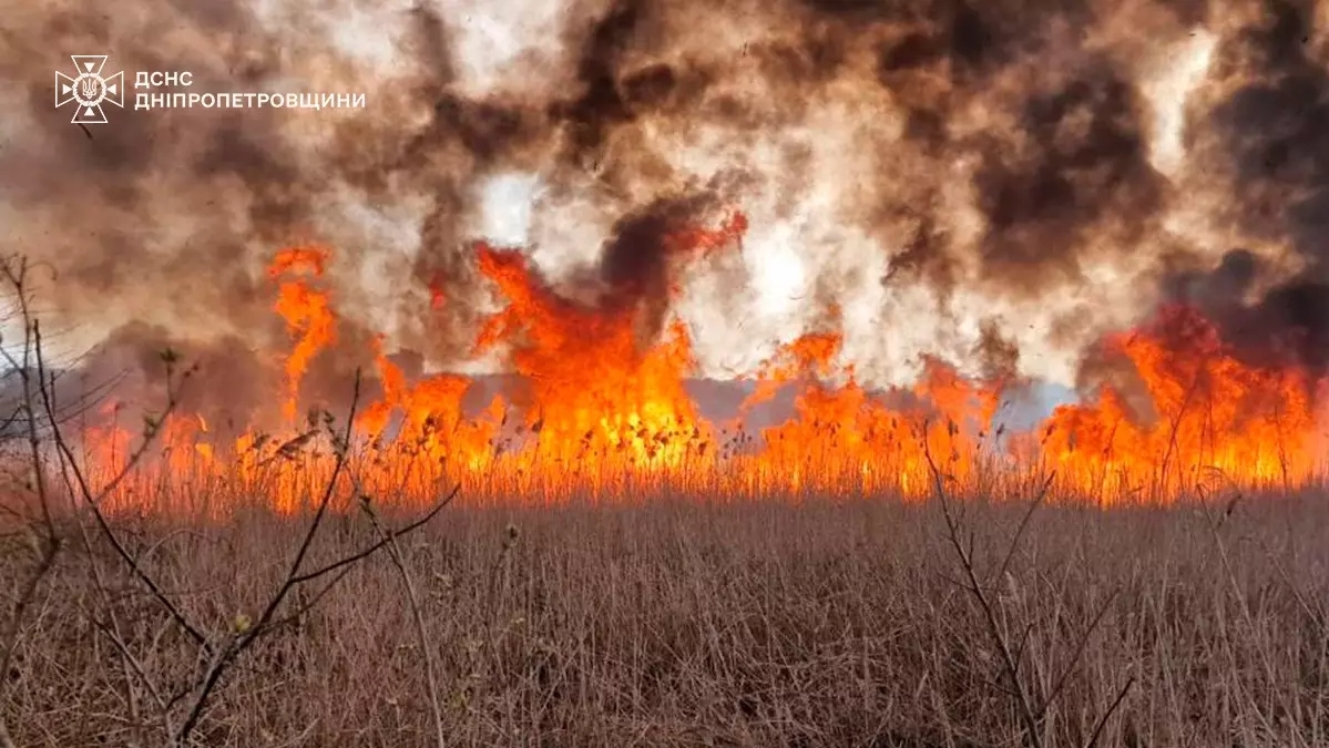 Величезна пожежа у Дніпрі: надзвичайники загасили вогонь в екосистемі