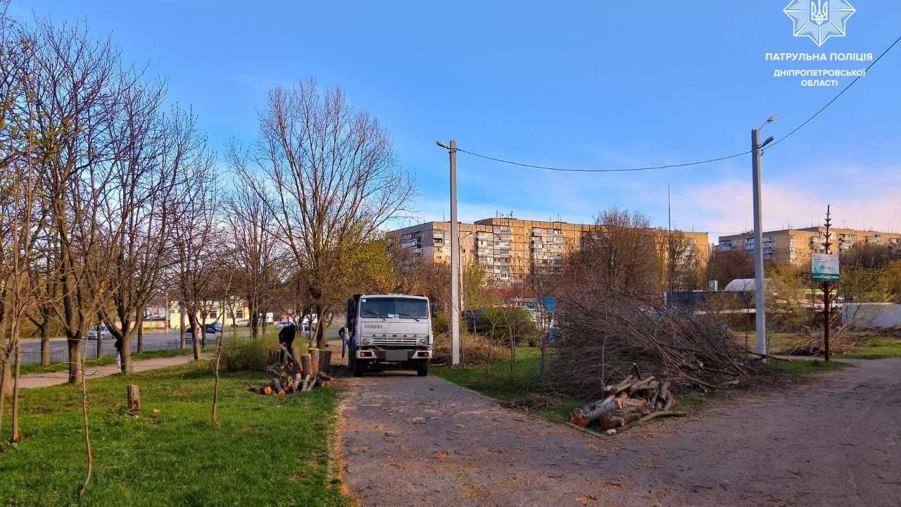 Невідомі спилюють дерева на вулиці Панікахи у Дніпрі: втручаються патрульні