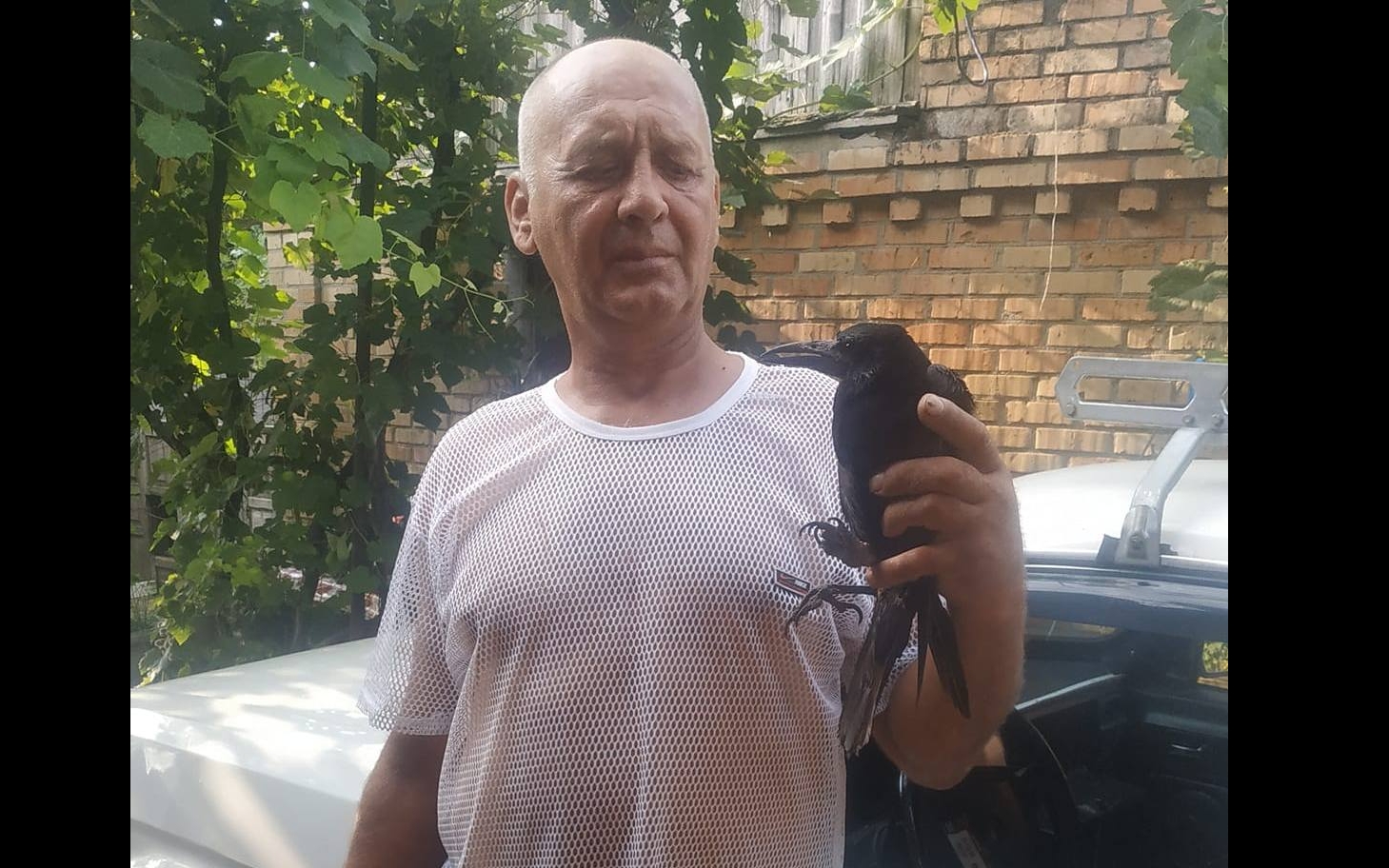 Пастор Червоногригорівки врятував ворона, пораненого москалями