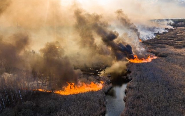 Чорнобильську пожежу загасили
